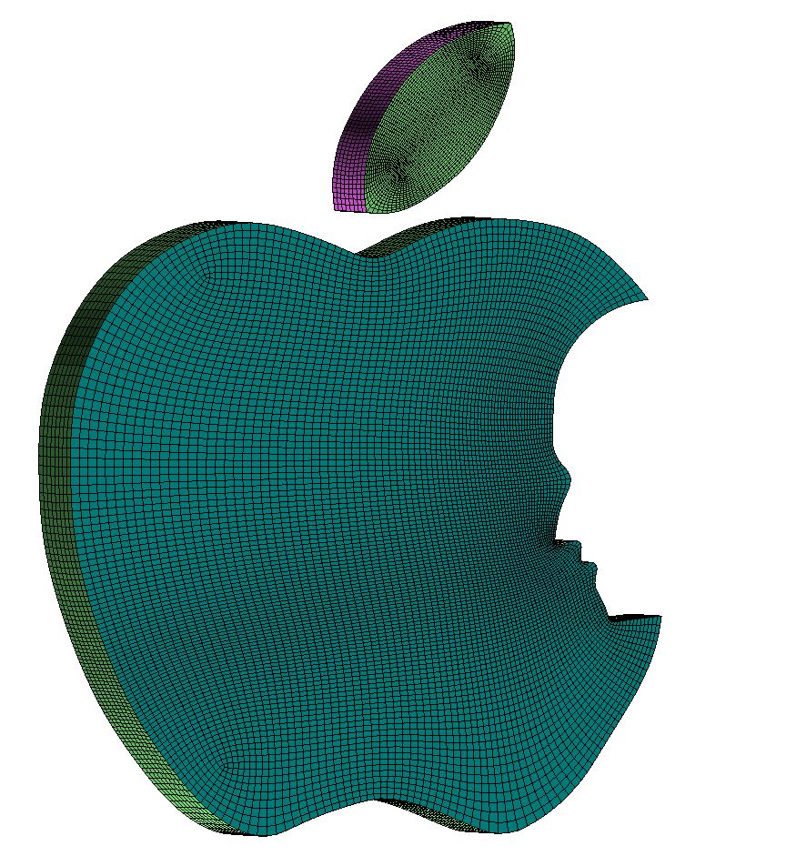 apple logo mesh.JPG