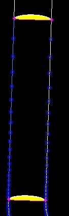 ��Բ���廮������